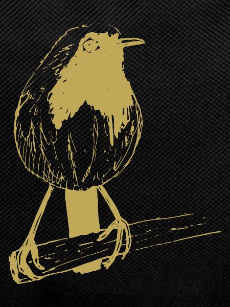 Illustrated designs with robins