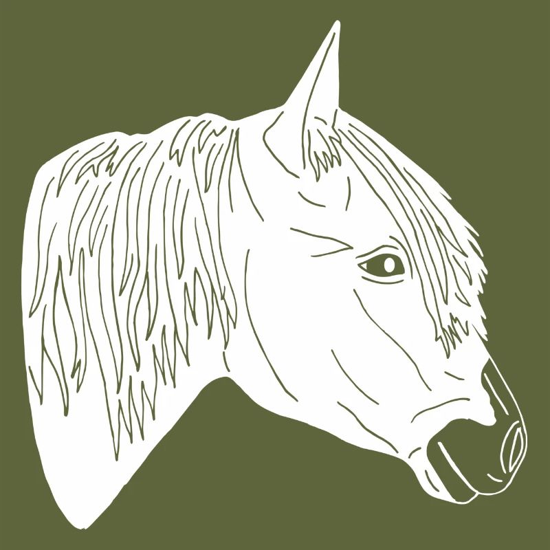 Irish Tinker