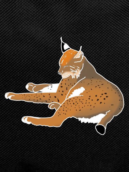 lynx