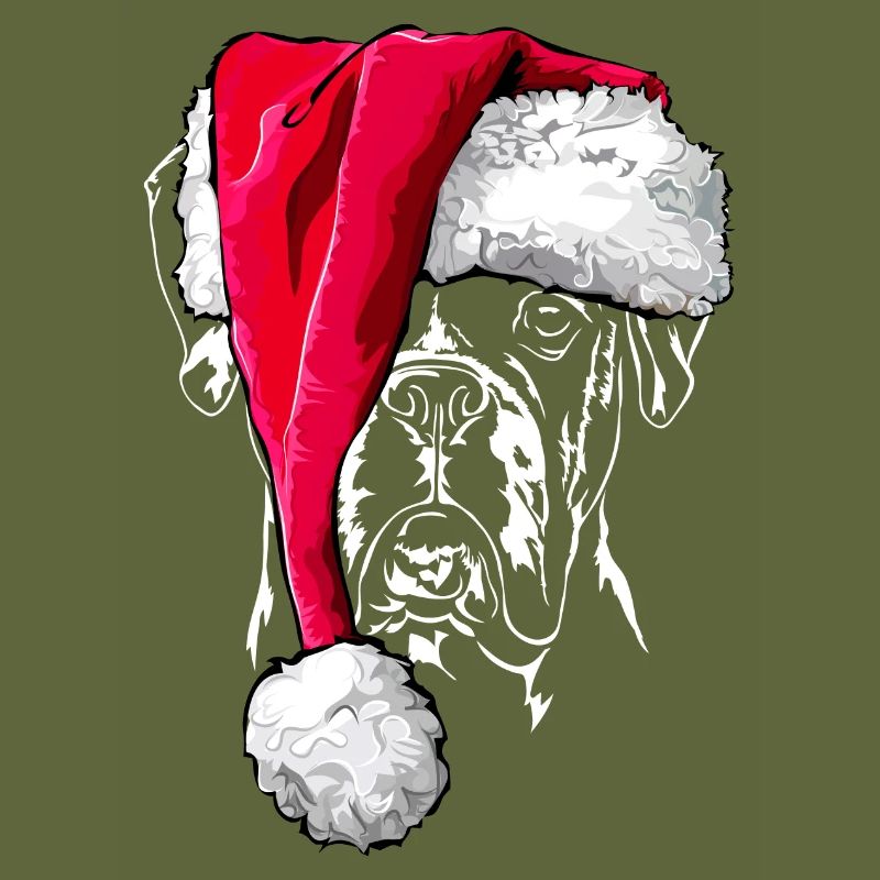 Boxer with hat christmas