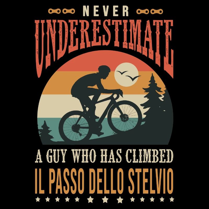ein Typ, der Il passo dello Stelvio velo bestiegen hat