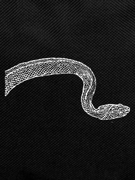 Snake Snakes