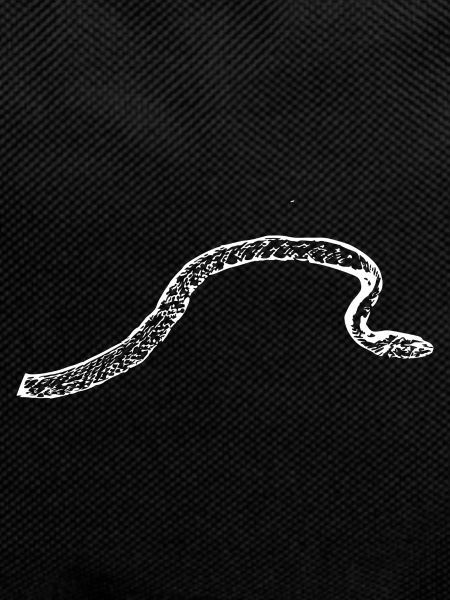 Snake Snakes