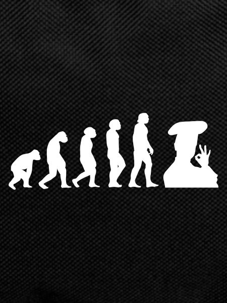 Evolution Koch