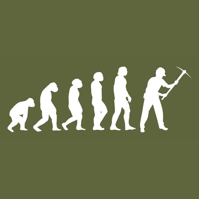 Evolution Bergmann