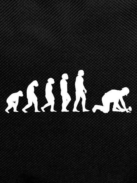 Evolution Pflasterer