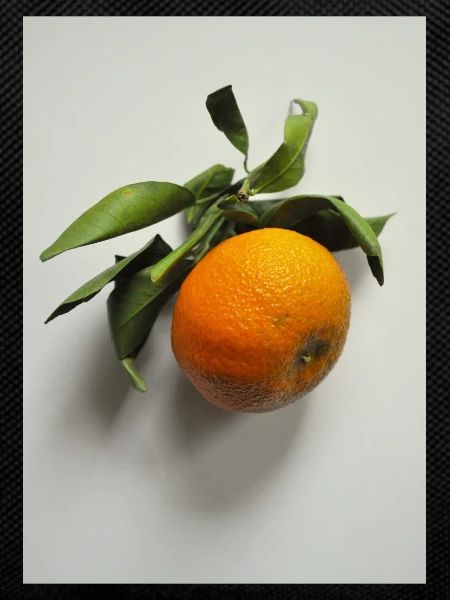 Mandarin