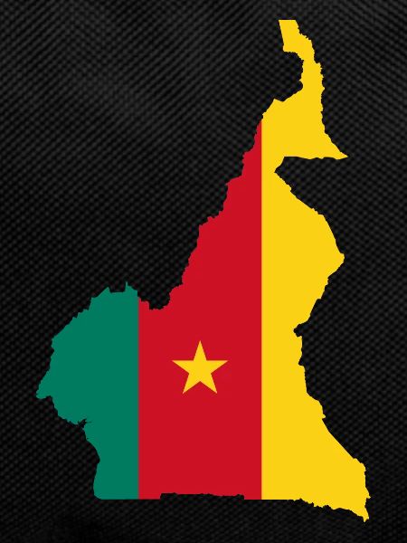 Cameroon map flag flag