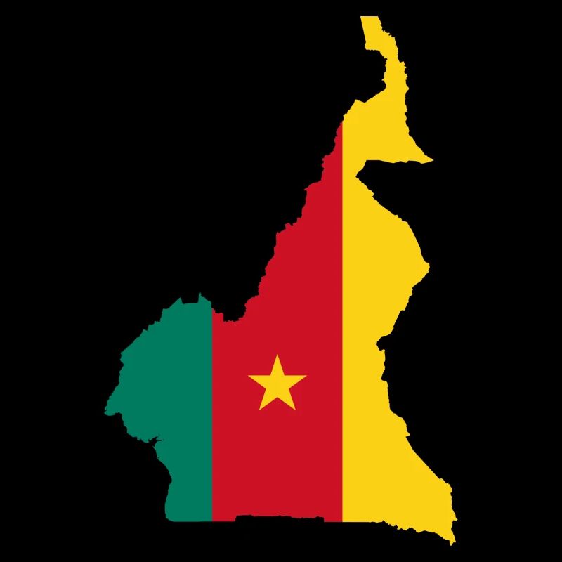 Cameroon map flag flag
