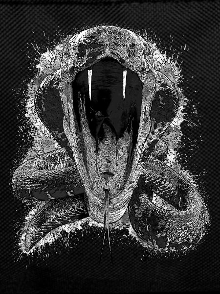 ANGRY Cobra - Black & White Print