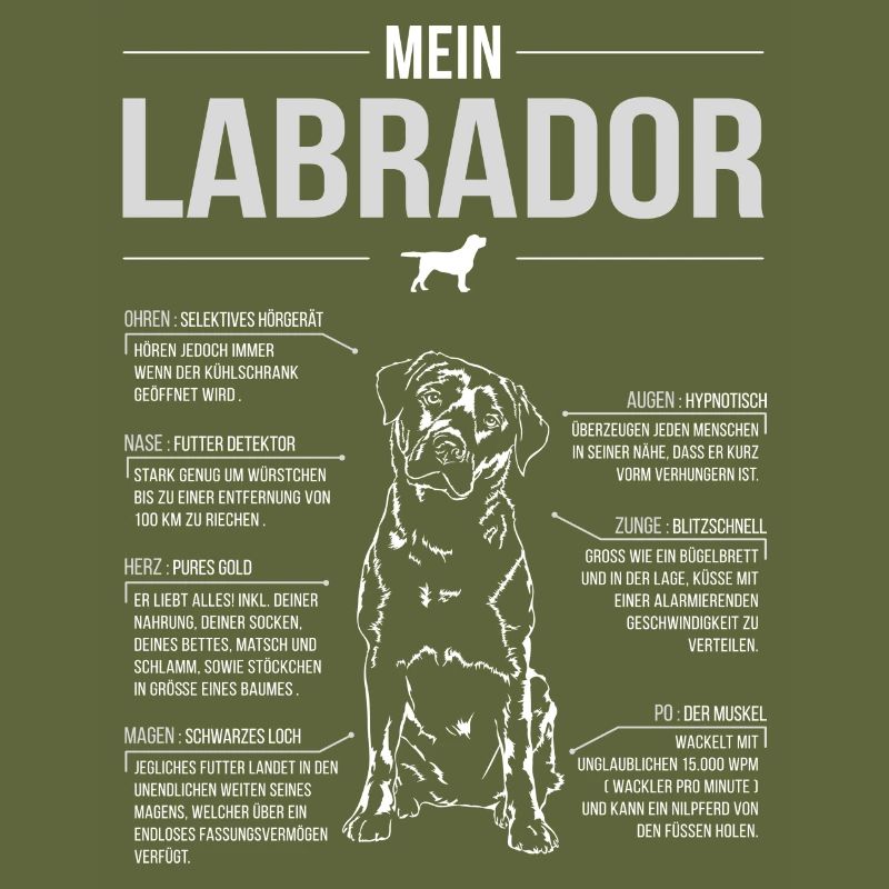 ANATOMIE AU LABRADOR Labbi Labs Retriever de Wilsign