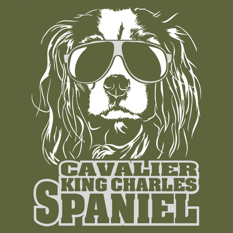 CAVALIER KING CHARLES SPANIEL Chiens Wilsigns cool