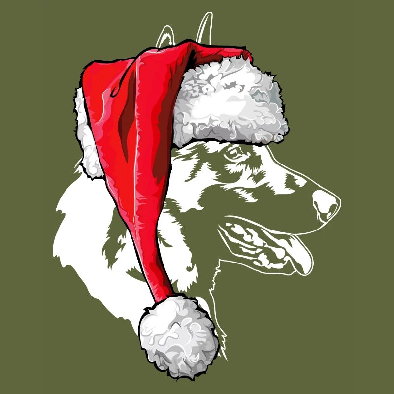 Père Noël Malinois Saint-Nicolas chiens Wilsigns