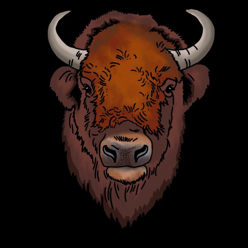 Bison head