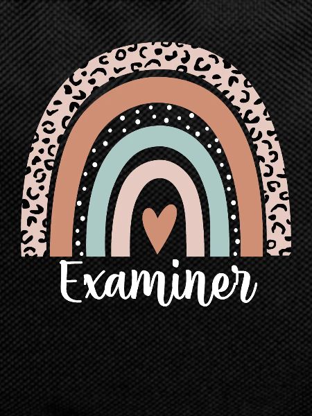 Examiner Rainbow Leopard Funny Examiner