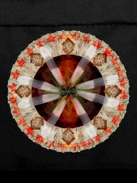 native medicine wheel
