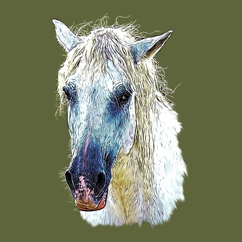 camargue horse