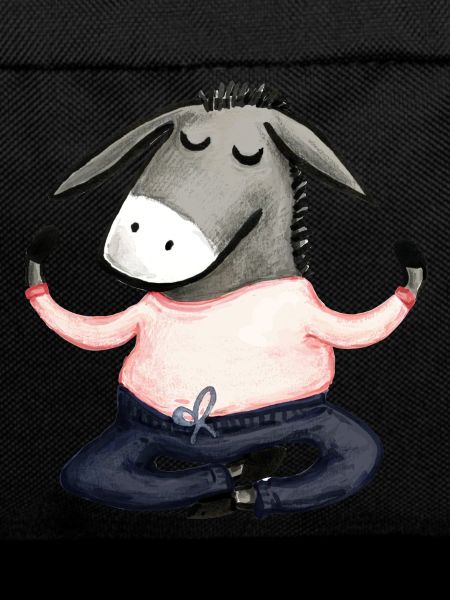 Yoga Donkey