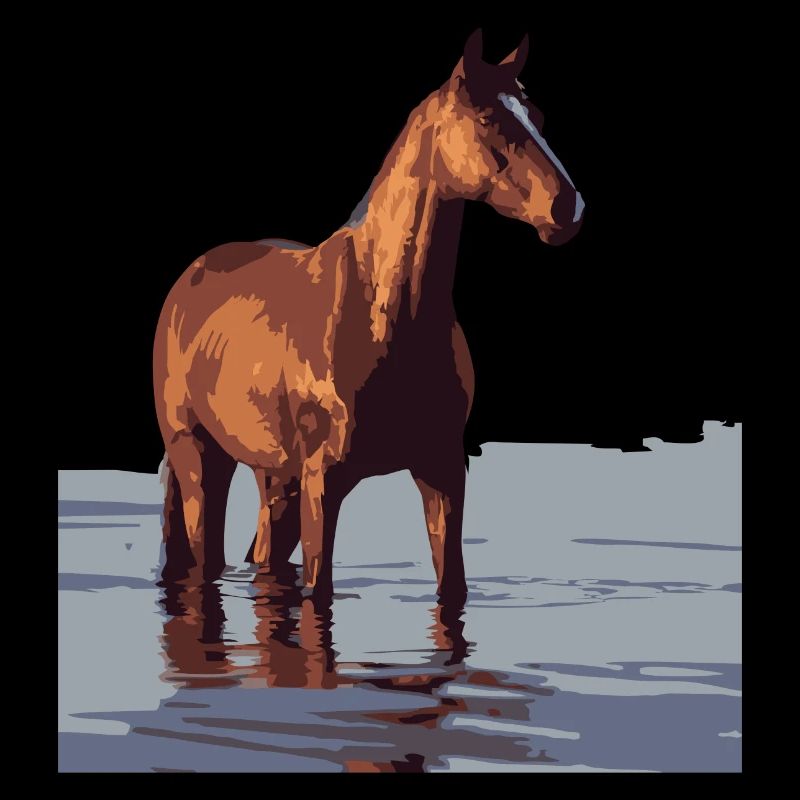 pferd im wasser