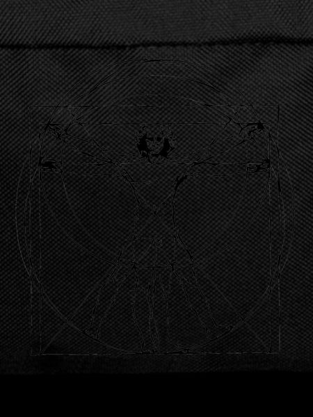 Vitruvian Man | Vitruvian Man | Leonardo
