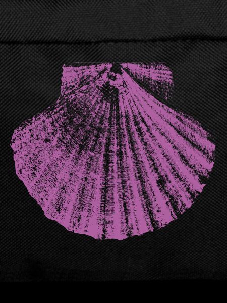 Scallop Camino de Santiago