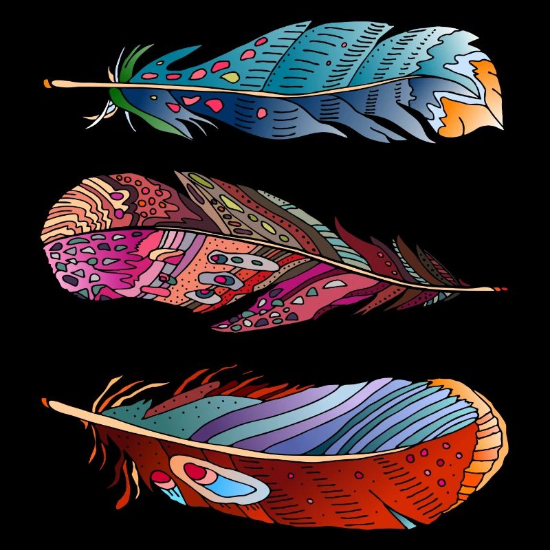 Colorful feathers