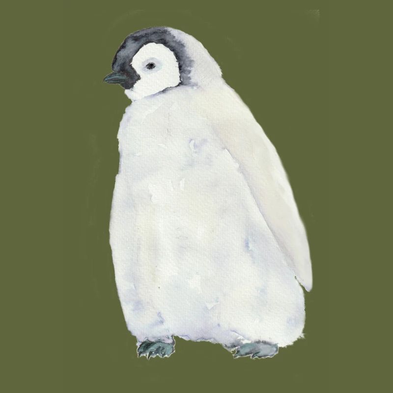 Penguin