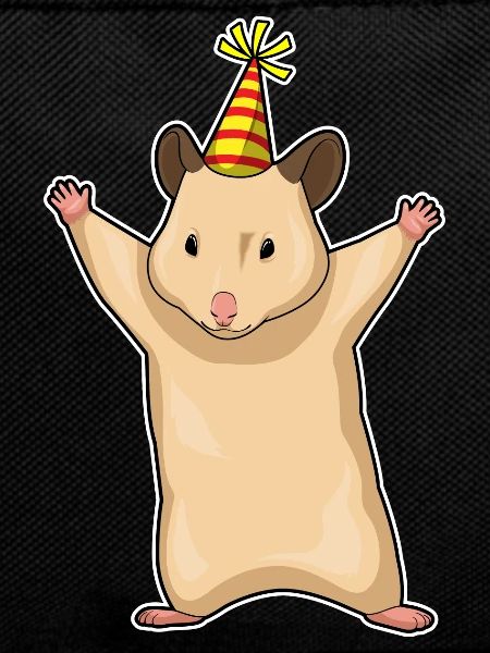 Hamster Birthday Party Hat