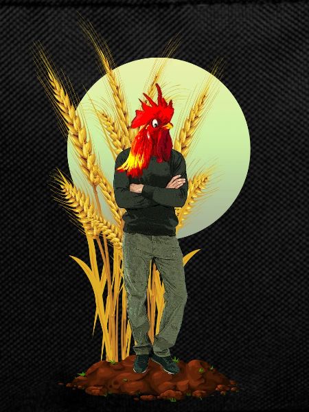 Chicken Man Rooster Comb Hybrid