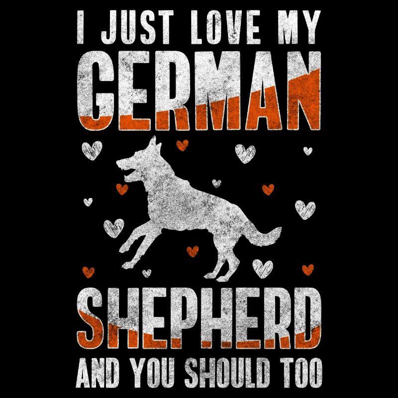Schäferhund Hunde Haustier Hundeschule