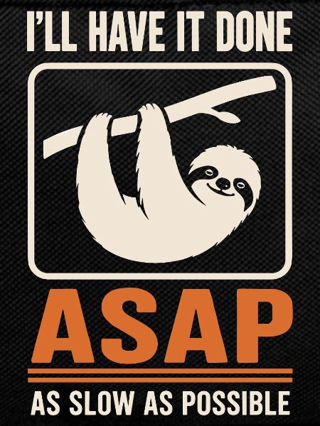 ASAP Slow Sloth Motif