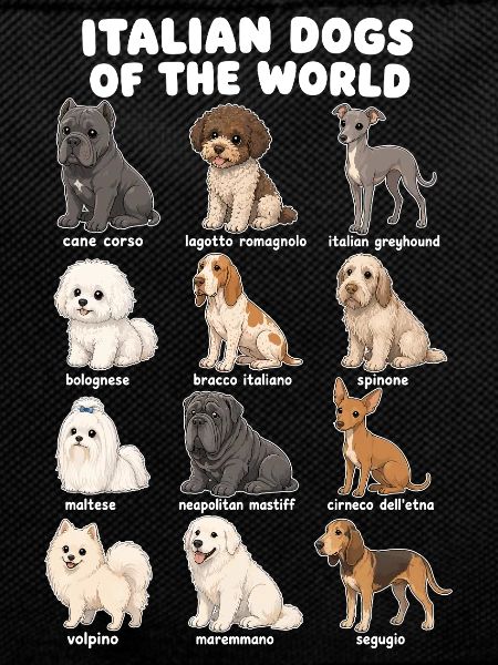 Italian Dog Breeds Cute Dogs