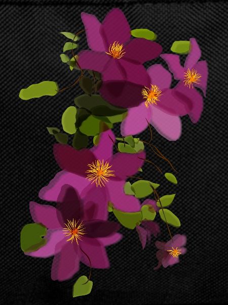 Purple Clematis – Floral Illustration