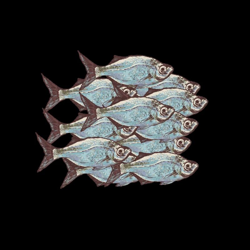 shoal