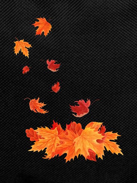 Autumn leaves that fall