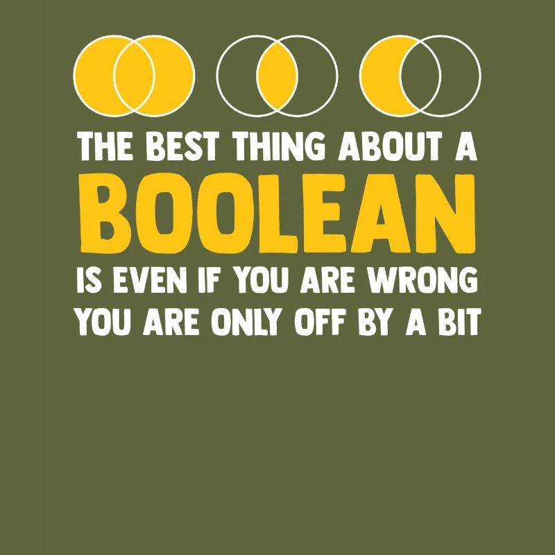 Programmer Coder Software Developer