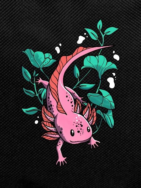 Axolotl Salamander