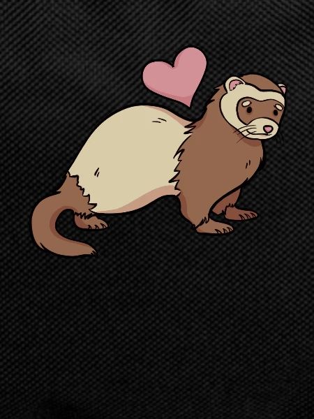 Ferret