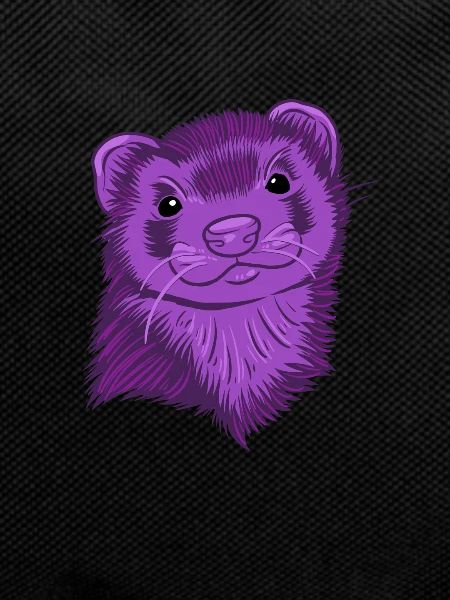 Furet