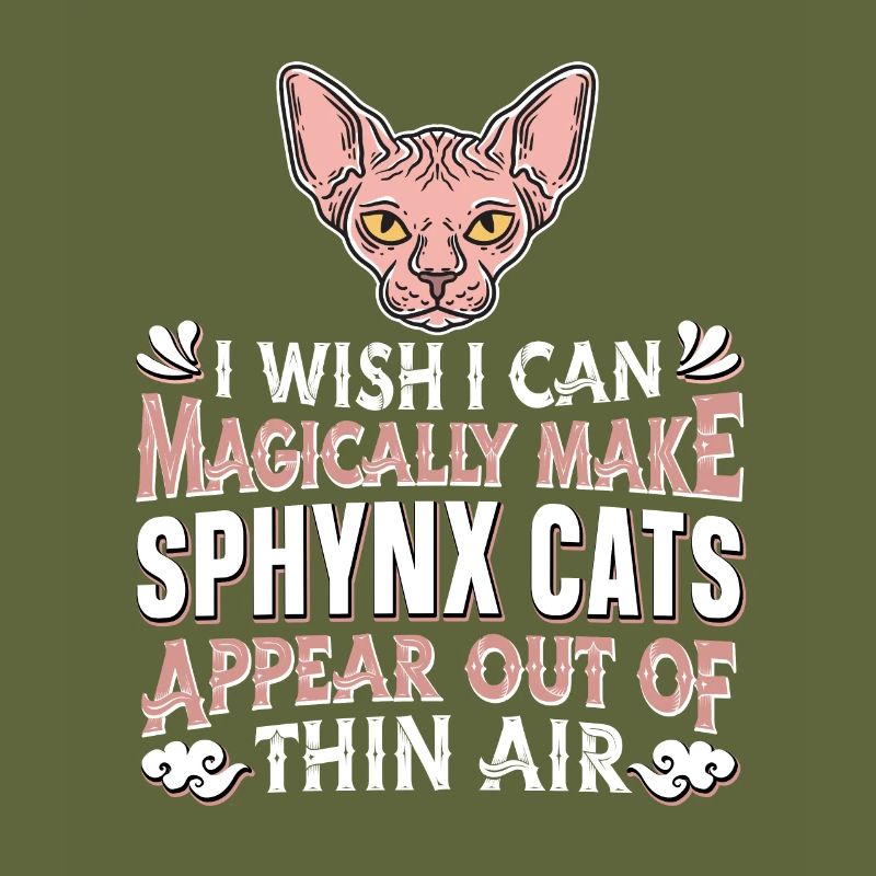 Sphynx Cat