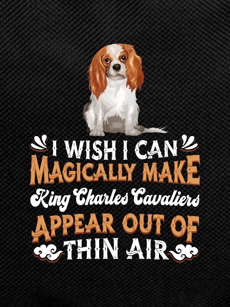 King Charles Cavalier Dog