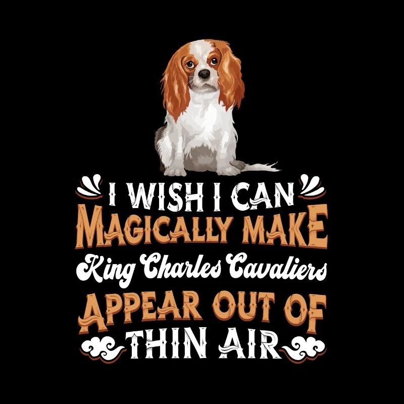 King Charles Cavalier Hund