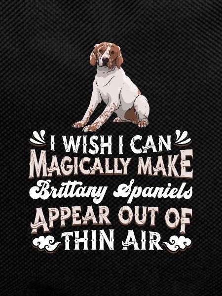 Brittany Spaniel Dog