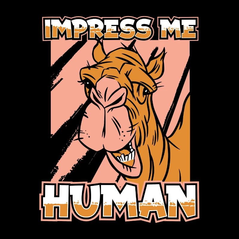 Camels Trample Animal Dromedary