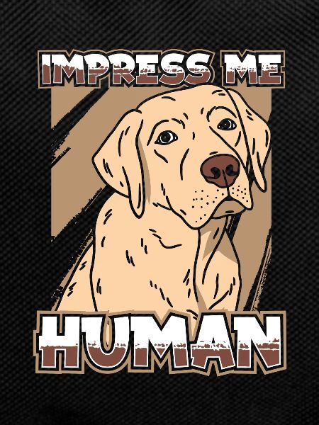 Labrador Dog