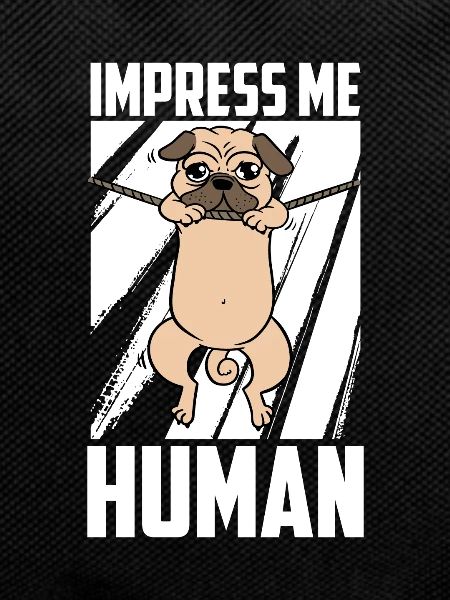 Mops Hund