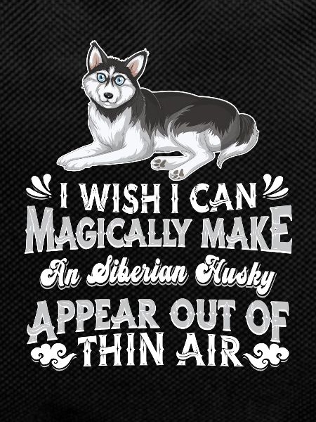 Siberian Husky Dog