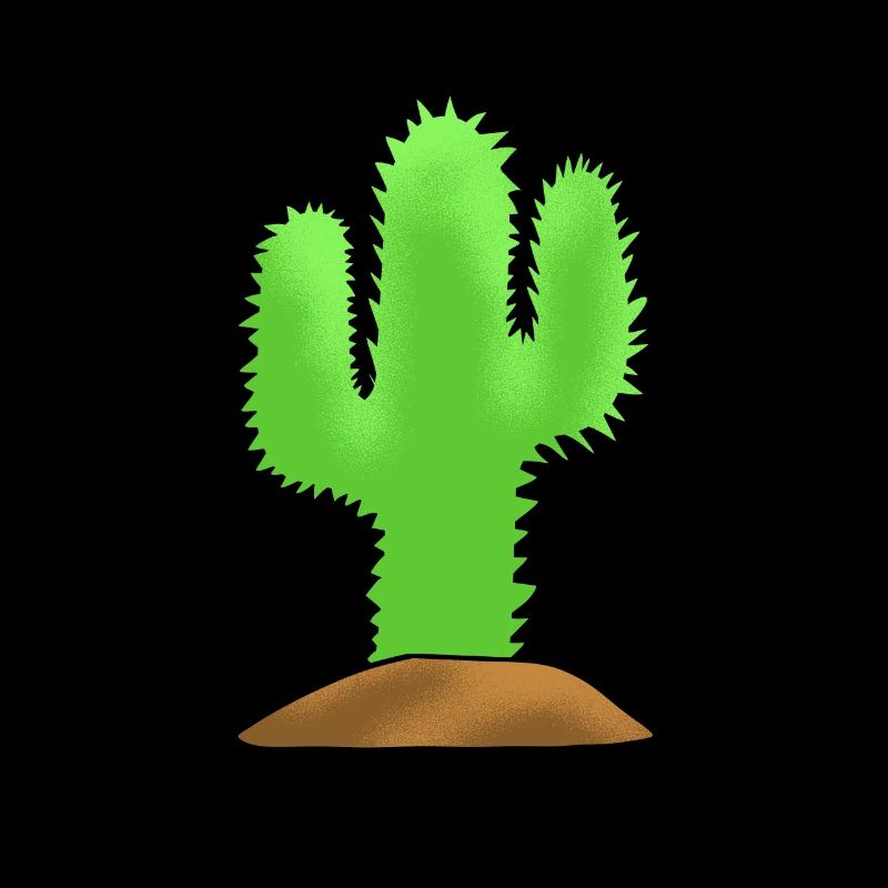 Jardin de cactus