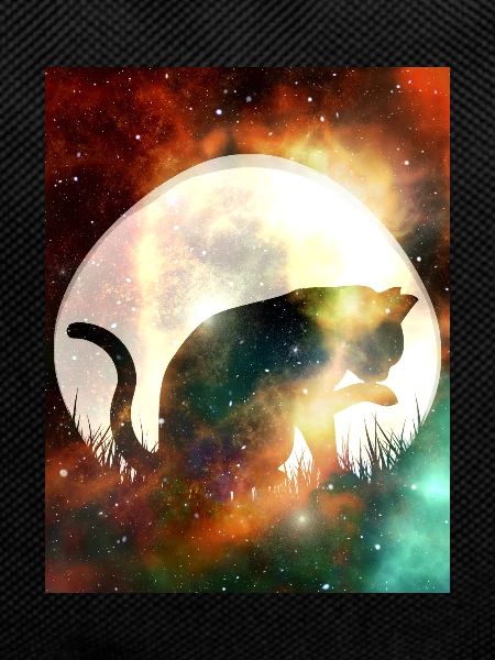 Stars and planets space cat