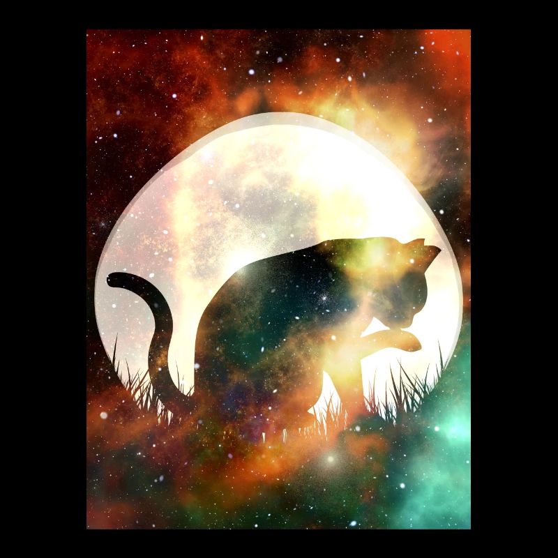 Stars and planets space cat